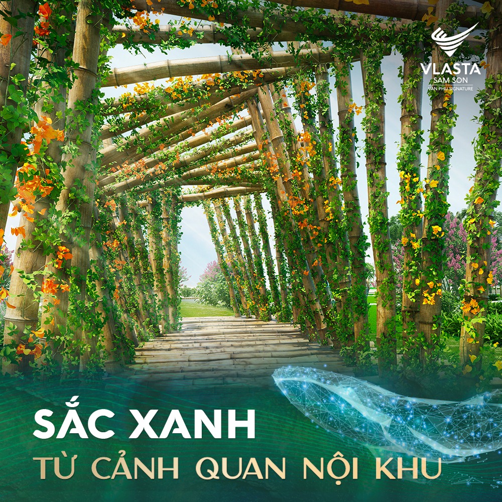 vlasta thanh hóa